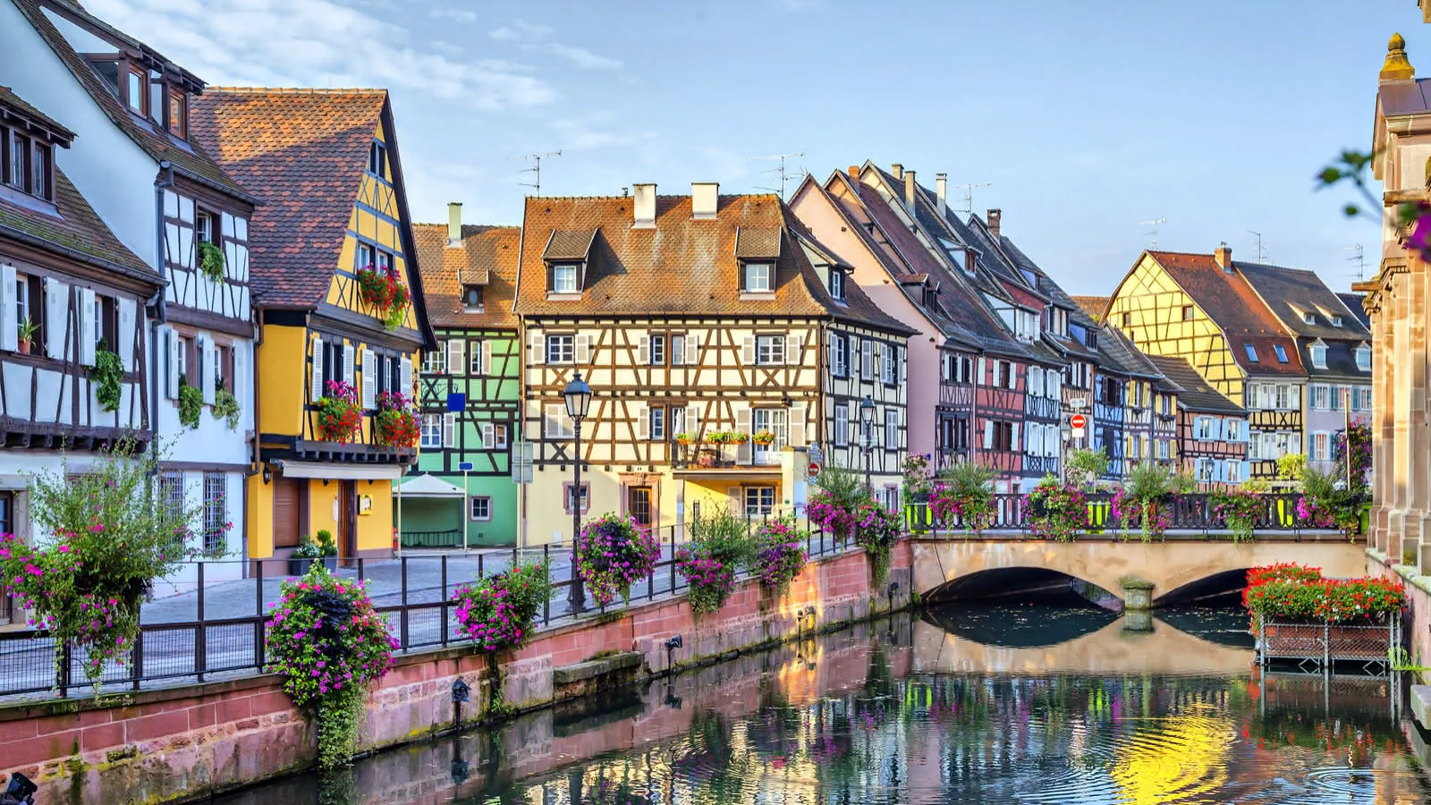 Artisan local consultant un site web sur une tablette à Colmar